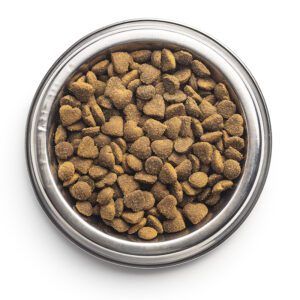 Pet Supplements for pets